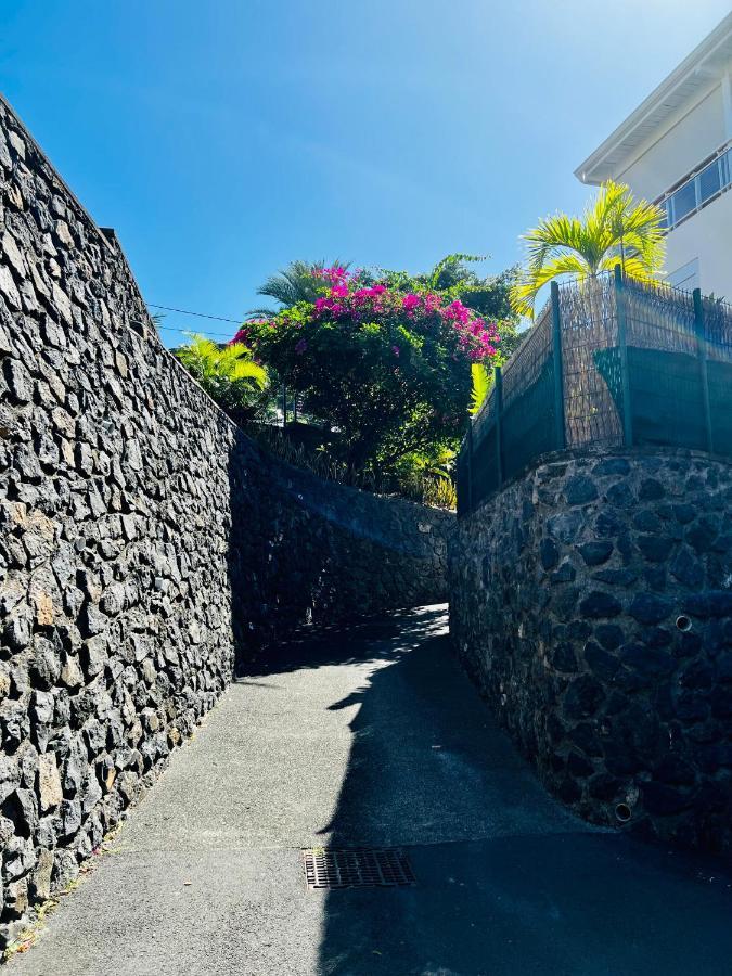 Appart. Avec Grande Terrasse Vue Ocean Apartamento Saint-Gilles-les Bains Exterior foto